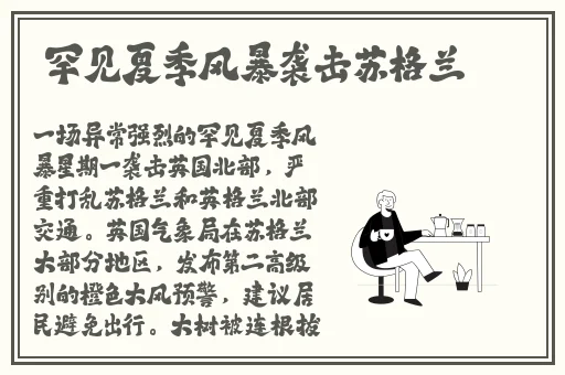 漂亮的后坶三浦惠理子