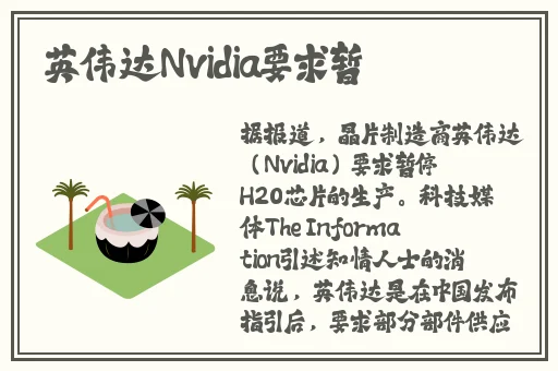 扇贝裙边肉尖边贝